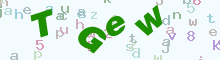 验证码图片
